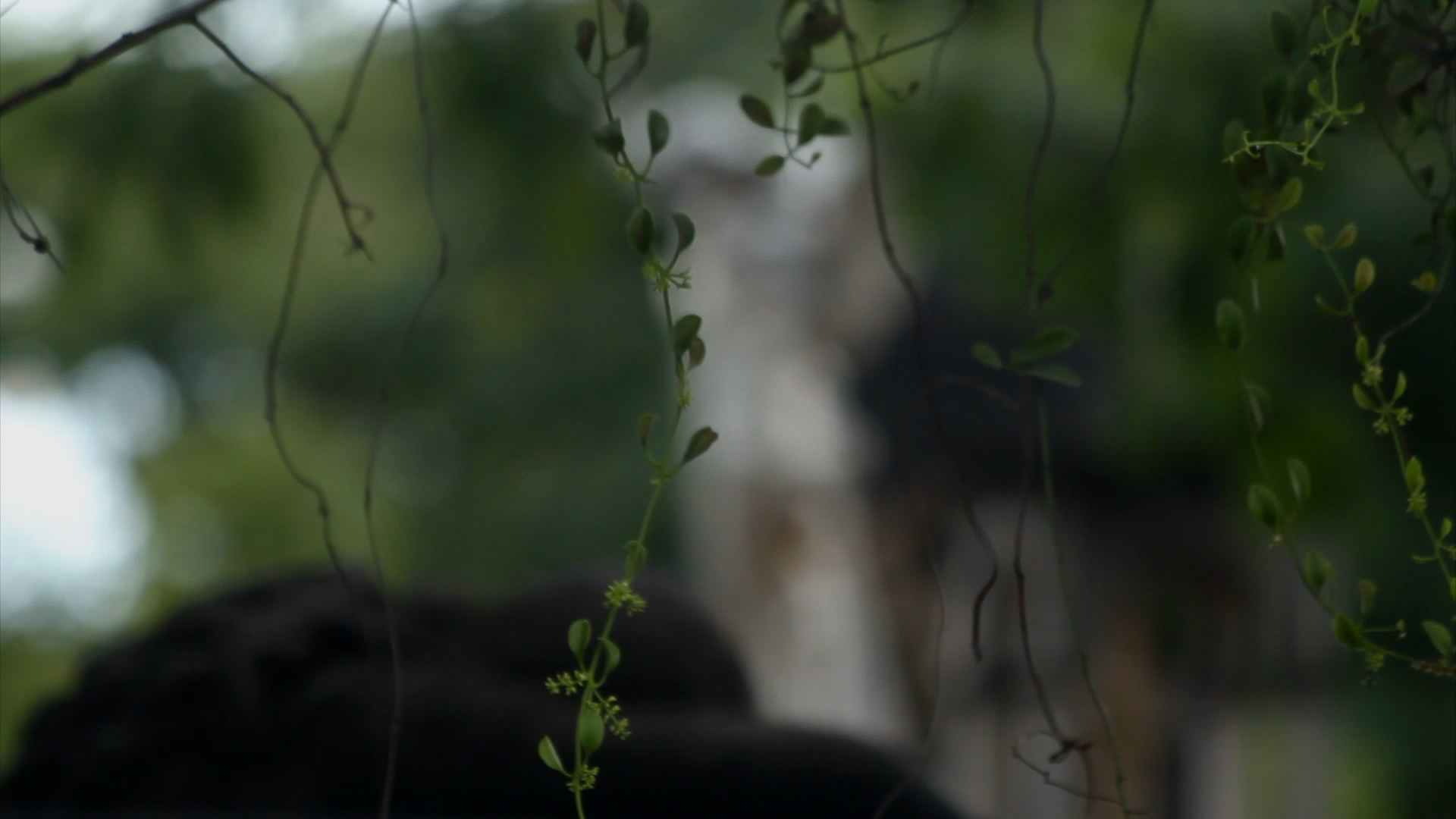 pinhole – Montes Claros pelo buraco da agulha: A busca de um olhar crítico por meio da fotografia de pinhole